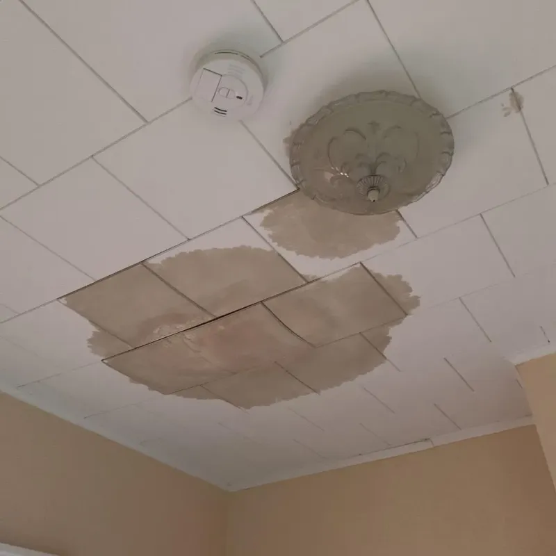 Ceiling Water Damage Repair in Belleville, KS