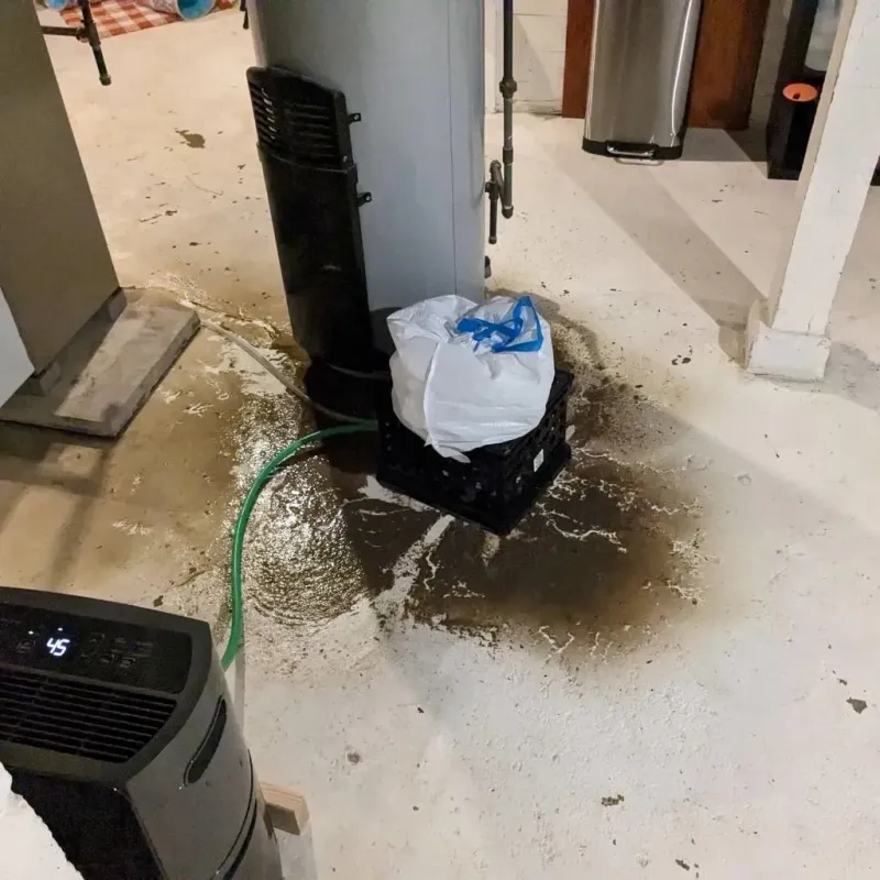 Sewage Backup Cleanup Service in Belleville, KS